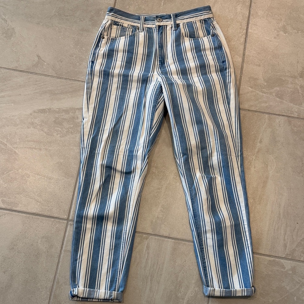 American Eagle Outfitters Blue and White Striped Pants